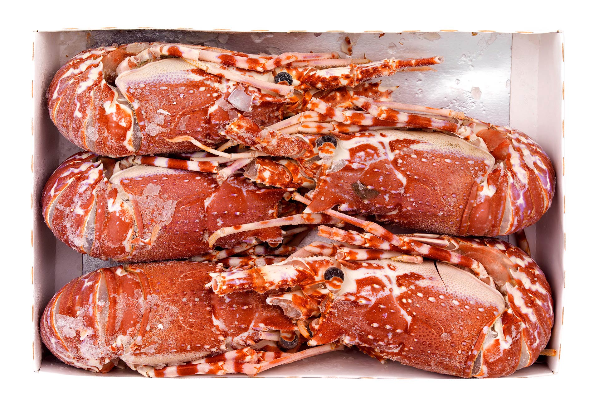 Lagosta Crua 300/500 Congelada Mo�ambique Cx 1,5 kg