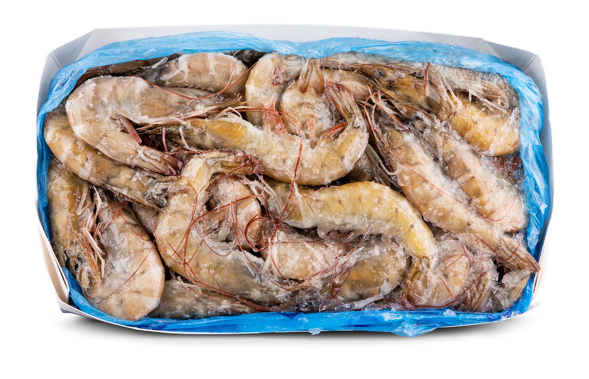 Camar�o Vannamei 20/30 Congelado Equador Cx 2 kg