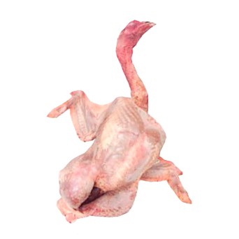 Peru Campo Inteiro c/ Cabea 5/8 kg Fresco