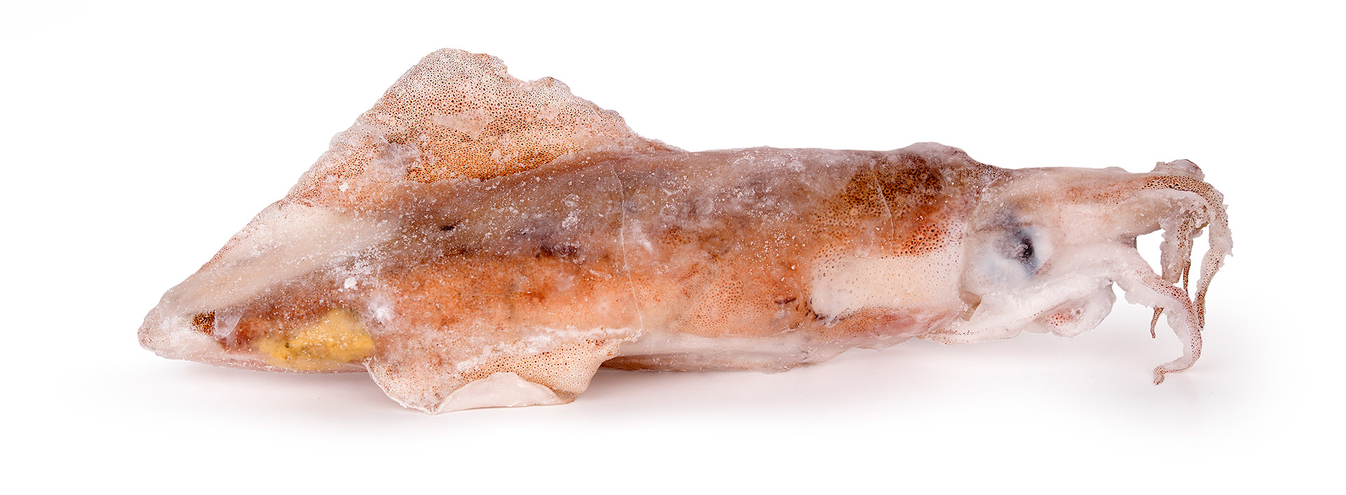 Lula Grelhar M Congelada �frica do Sul Cx 6 kg