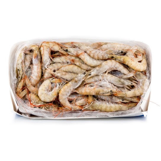 Camaro Vannamei 40/60 Congelado Equador Cx 2 kg