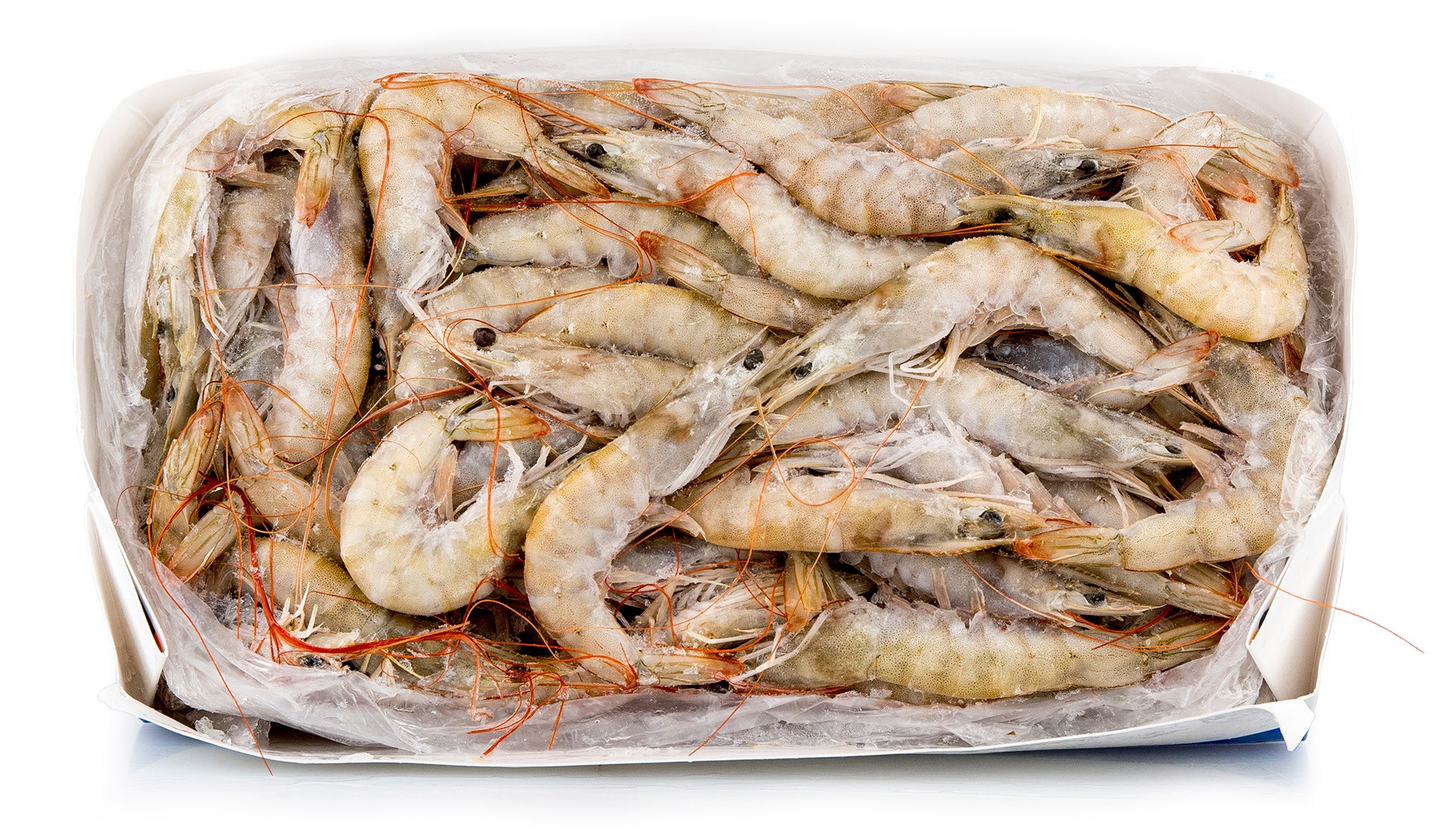 Camar�o Vannamei 40/60 Congelado Equador Cx 2 kg