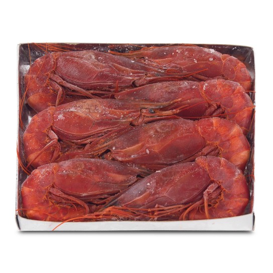 Carabineiro 8/10 Congelado Marrocos Cx IQF