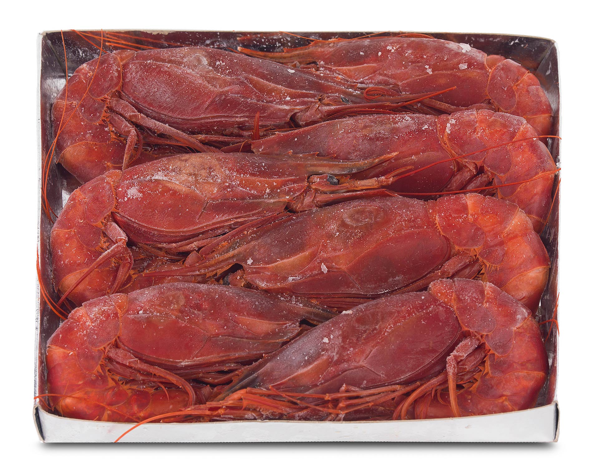 Carabineiro 8/10 Congelado Marrocos Cx IQF Carabineiro 8/10 Congelado Marrocos Cx IQF