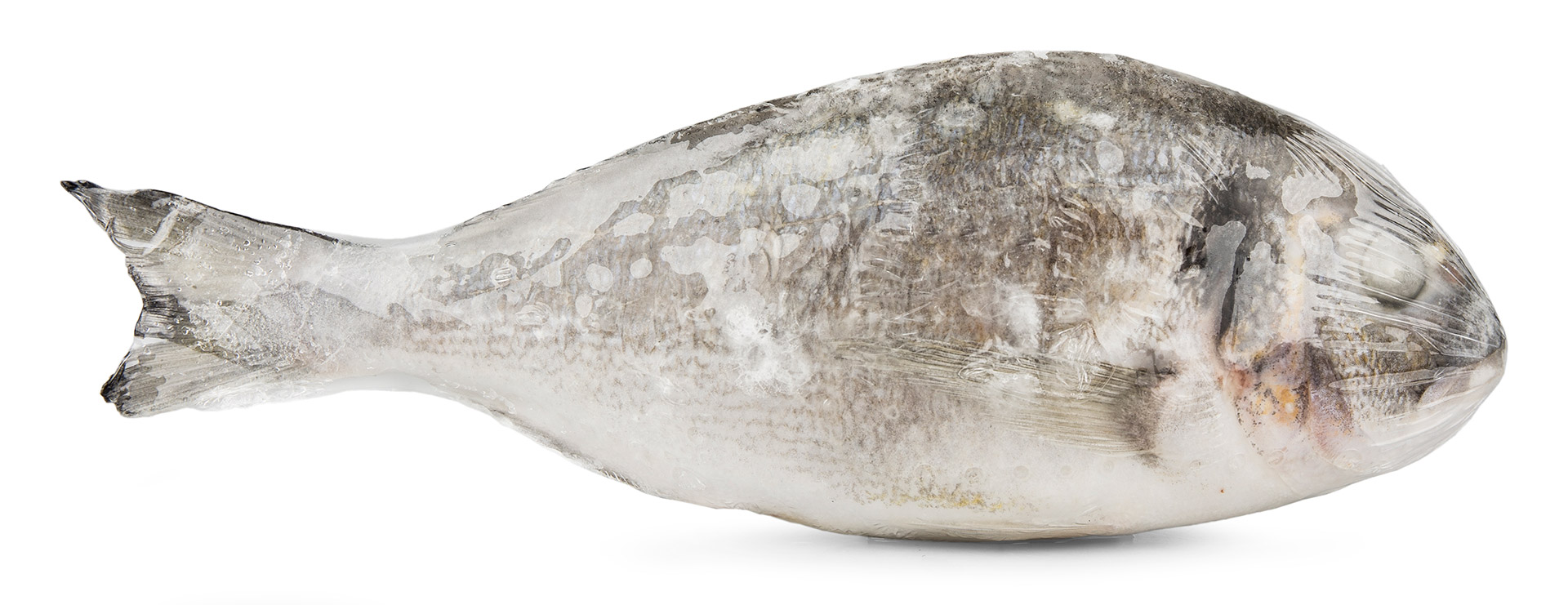 Dourada Inteira 300/400 g Higienizada Congelada Uli Cx 4 kg Dourada Inteira 300/400 g Higienizada Congelada Uli Cx 4 kg