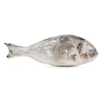 Dourada Inteira 300/400 g Higienizada Congelada Uli Cx 4 kg
