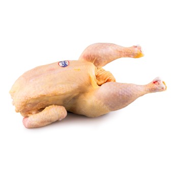 Frango Inteiro 1000/1100 g Fresco Avicasal