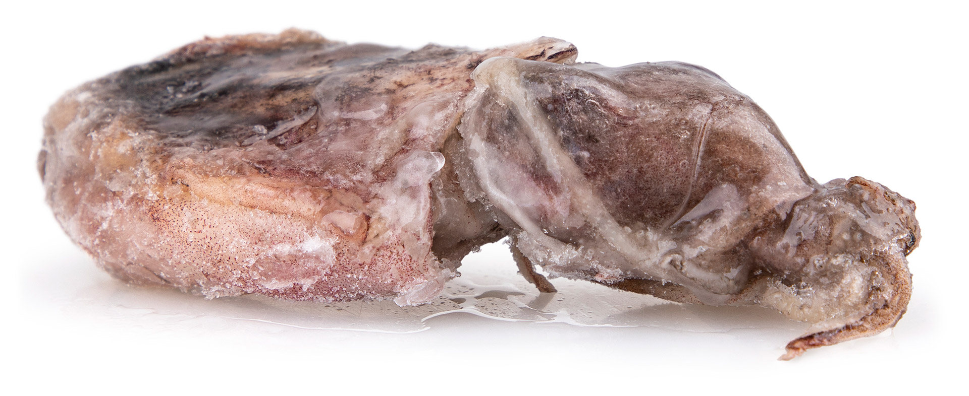 Choco Inteiro U/50 Congelado Cx 6 kg