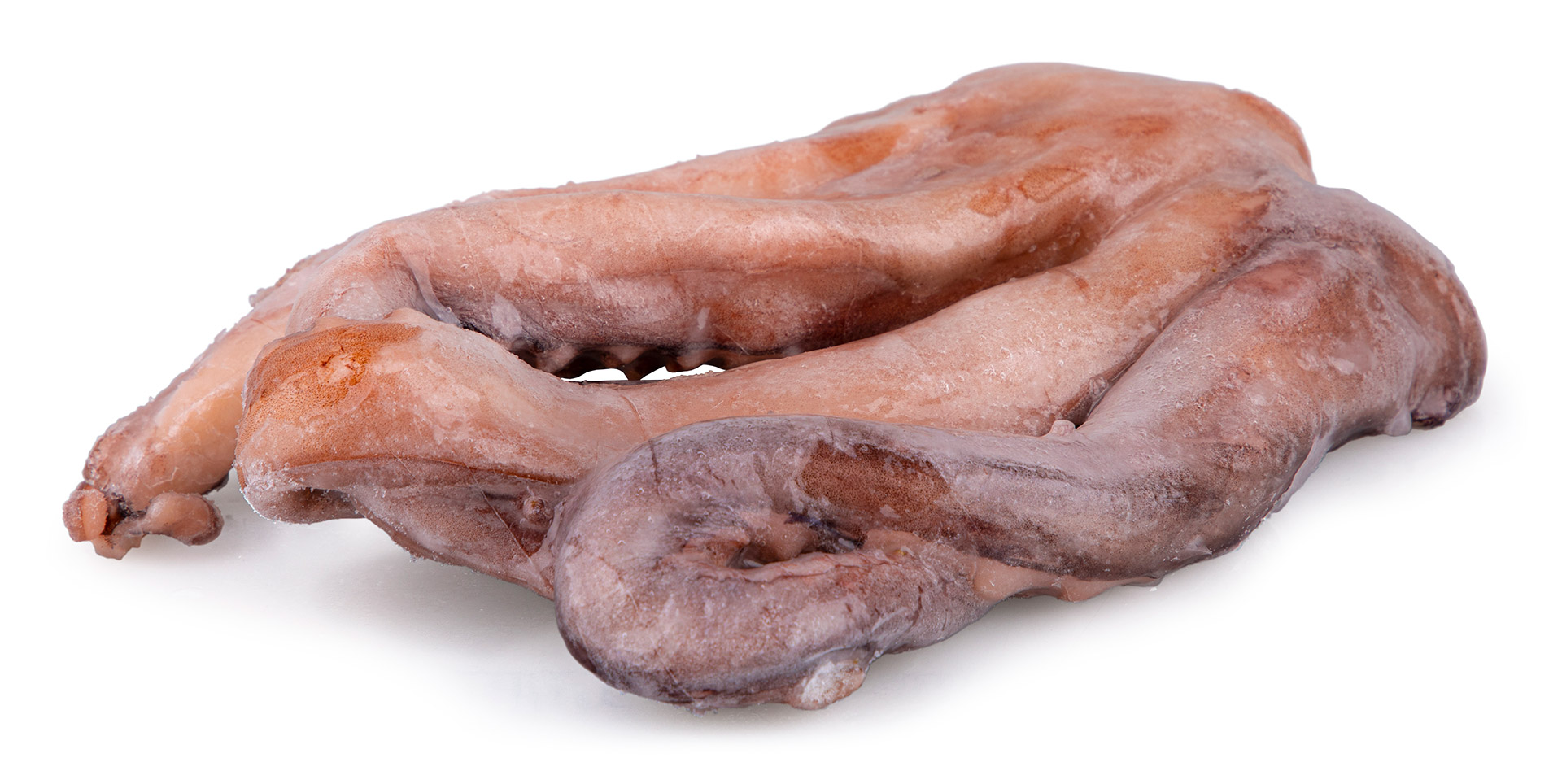 Tent�culos Pota 1/2 kg Congelados Cx 9 kg