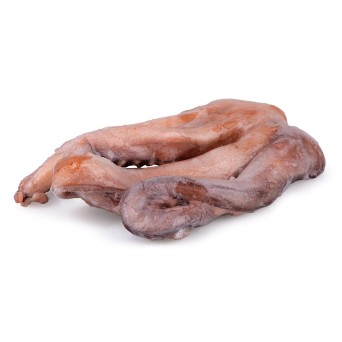 Tentculos Pota 1/2 kg Congelados Cx 9 kg