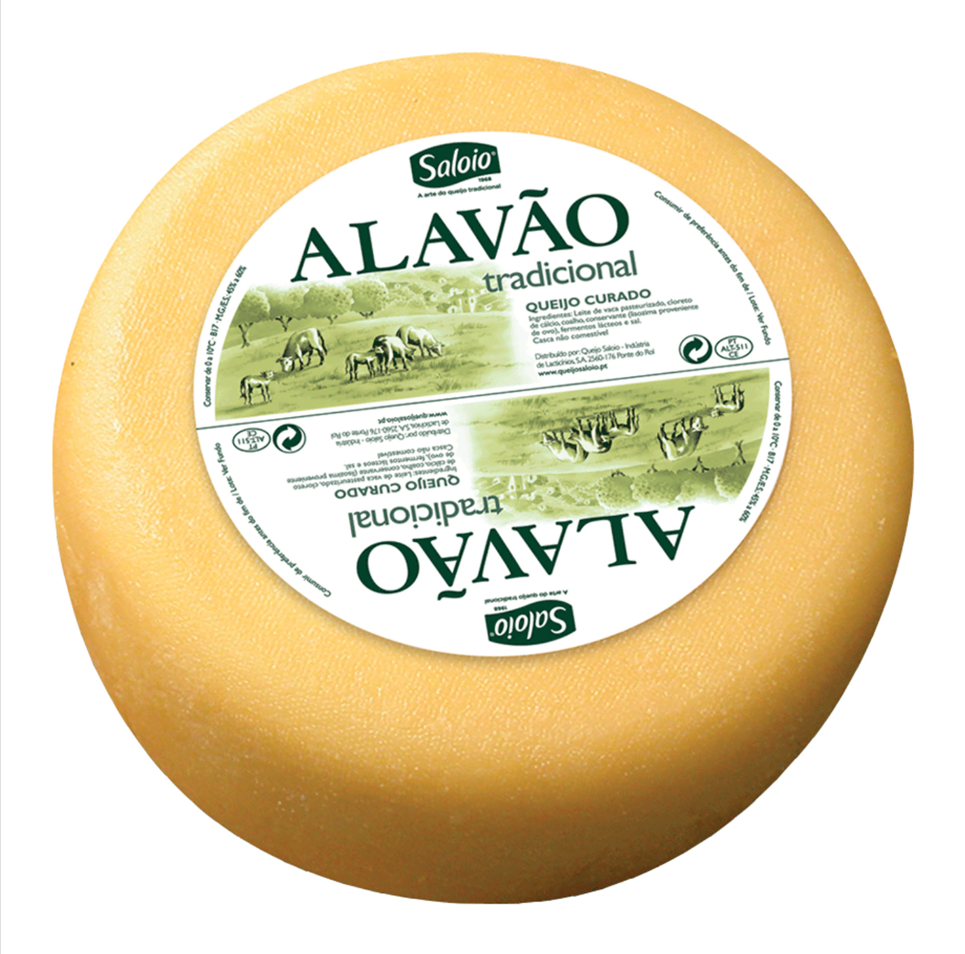 Queijo Alavão Tradicional Pequeno Queijo Alavão Tradicional Pequeno