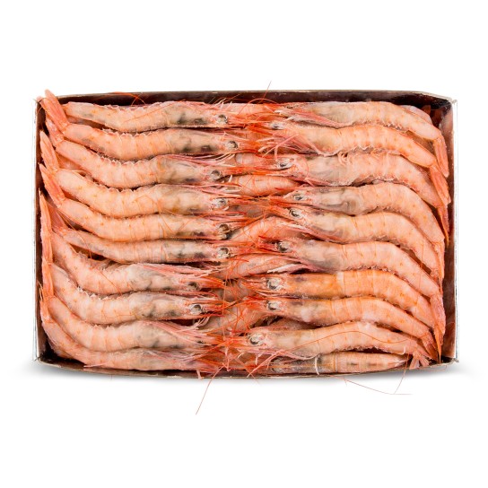 Gamba Branca 80/90 Congelada Cx IQF