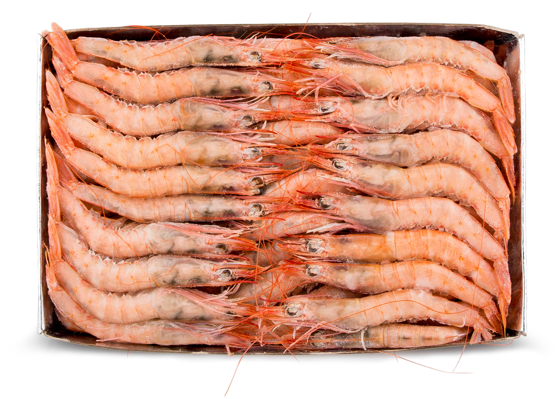 Gamba Branca 80/90 Congelada Cx IQF