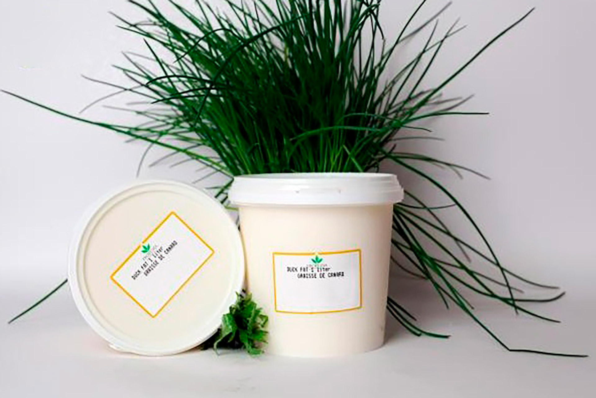 Gordura Pato Congelada Balde 1 l