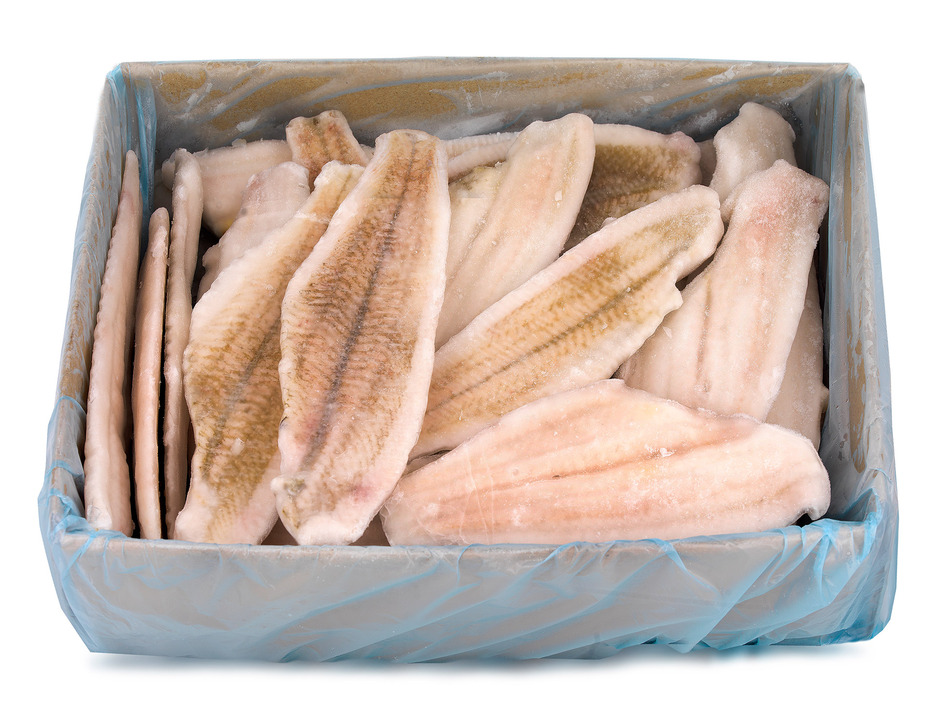 Filete Solha s/ Pele 100/130 g Congelado Cx 5 kg