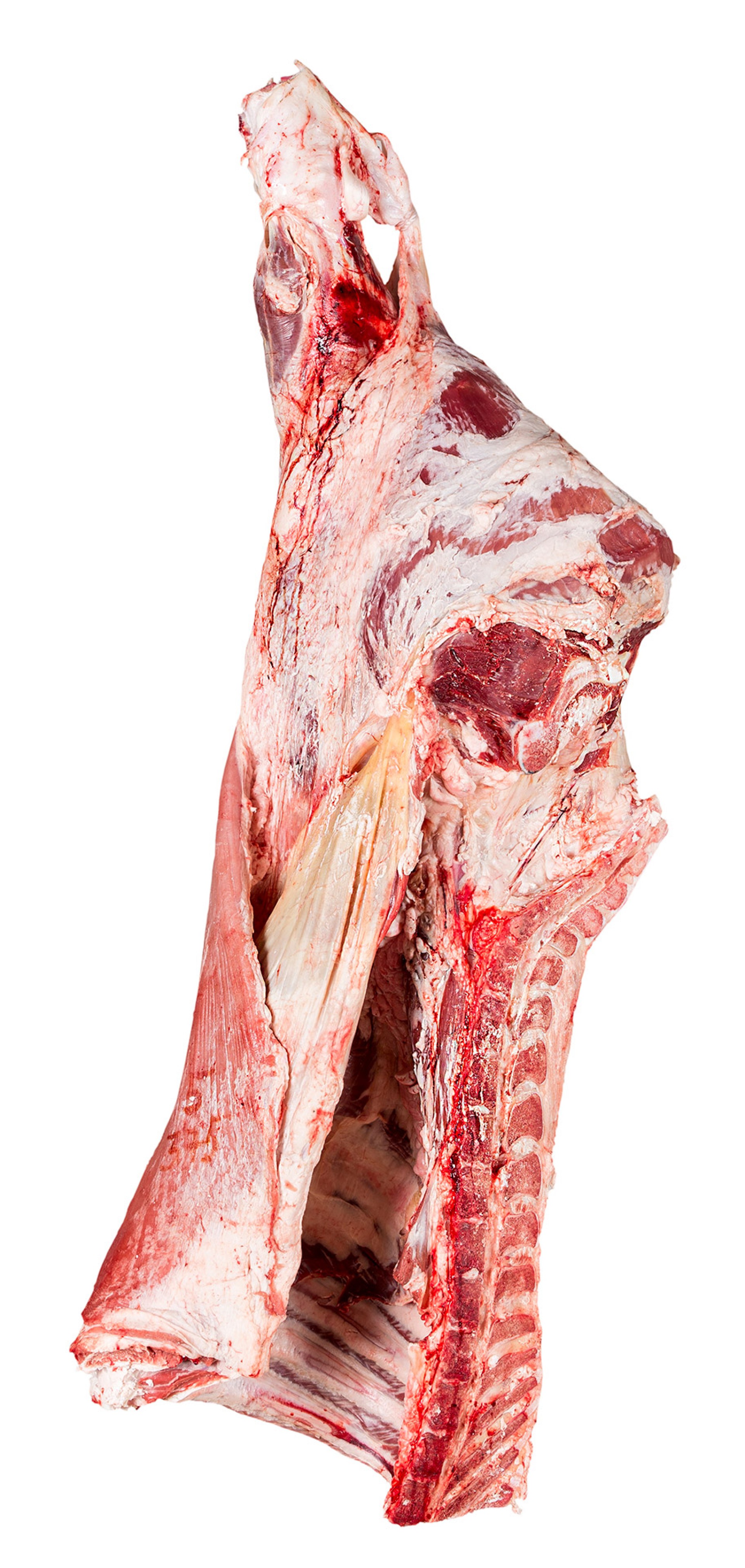 Novilho Traseiro Fresco Nacional