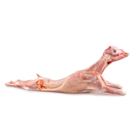 Cabrito Inteiro 5/8 kg Fresco Europa