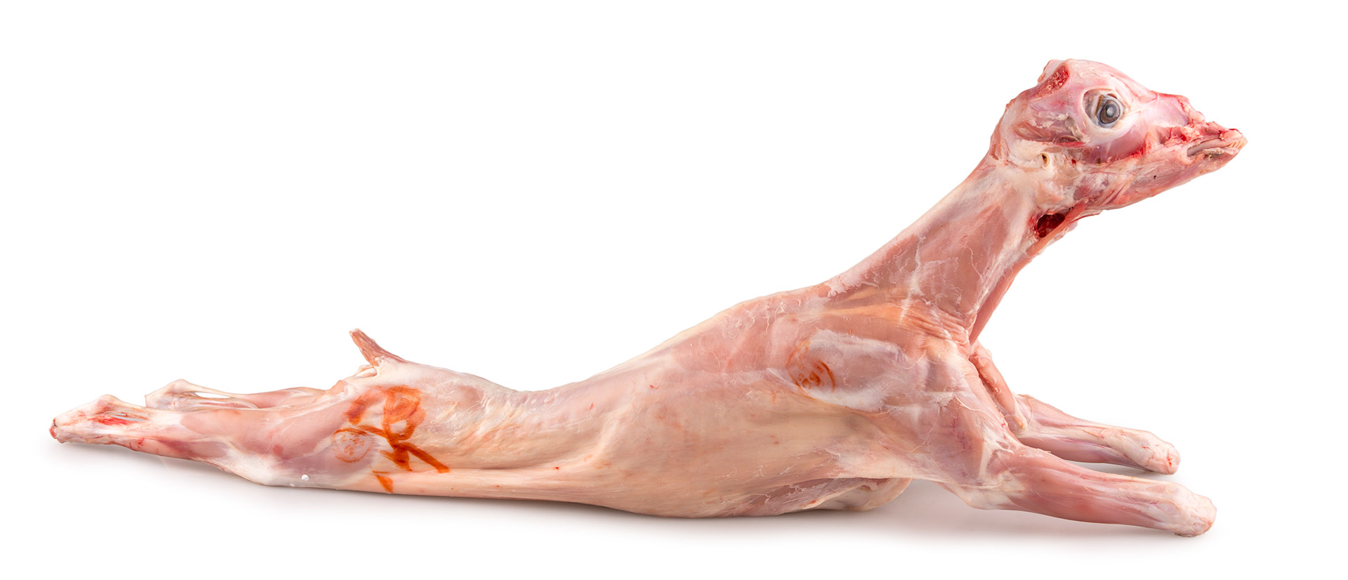 Cabrito Inteiro 5/8 kg Fresco Europa