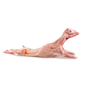 Cabrito Inteiro 5/8 kg Fresco Europa