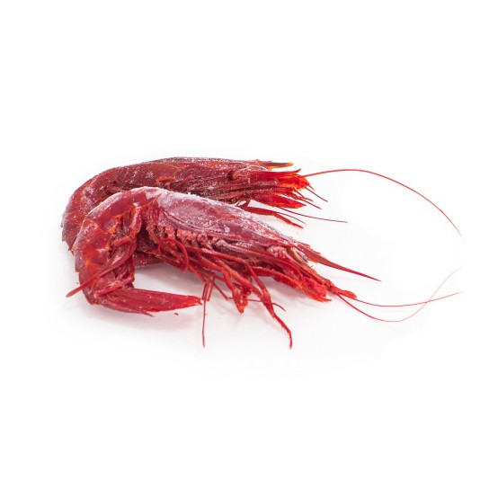 Carabineiro 12/14 Congelado Marrocos Cx IQF