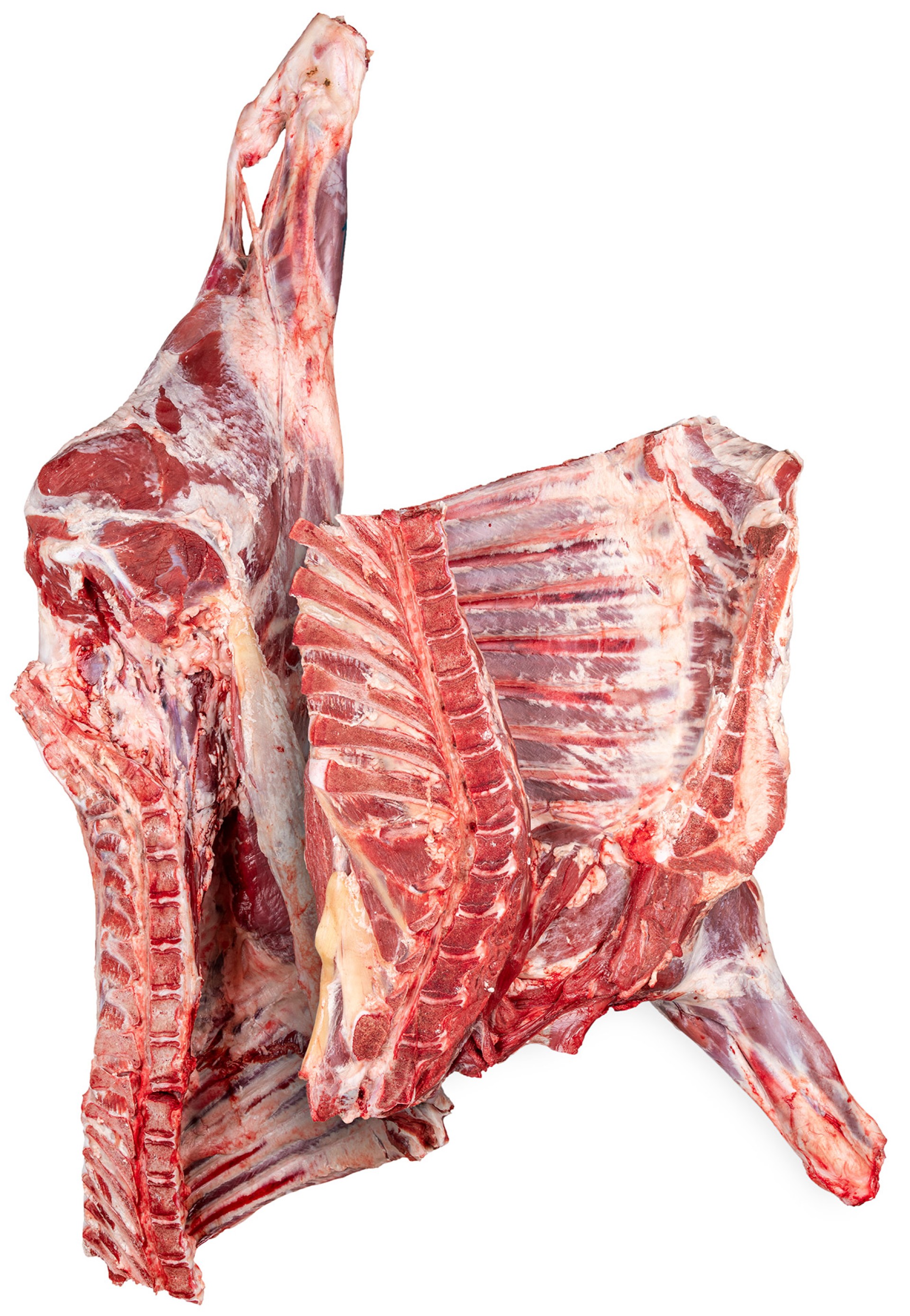 Vitel�o Inteiro Fresco Nacional Avulso