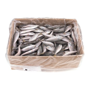 Carapau Pelim 40/50 Congelado Uli Cx 6 kg