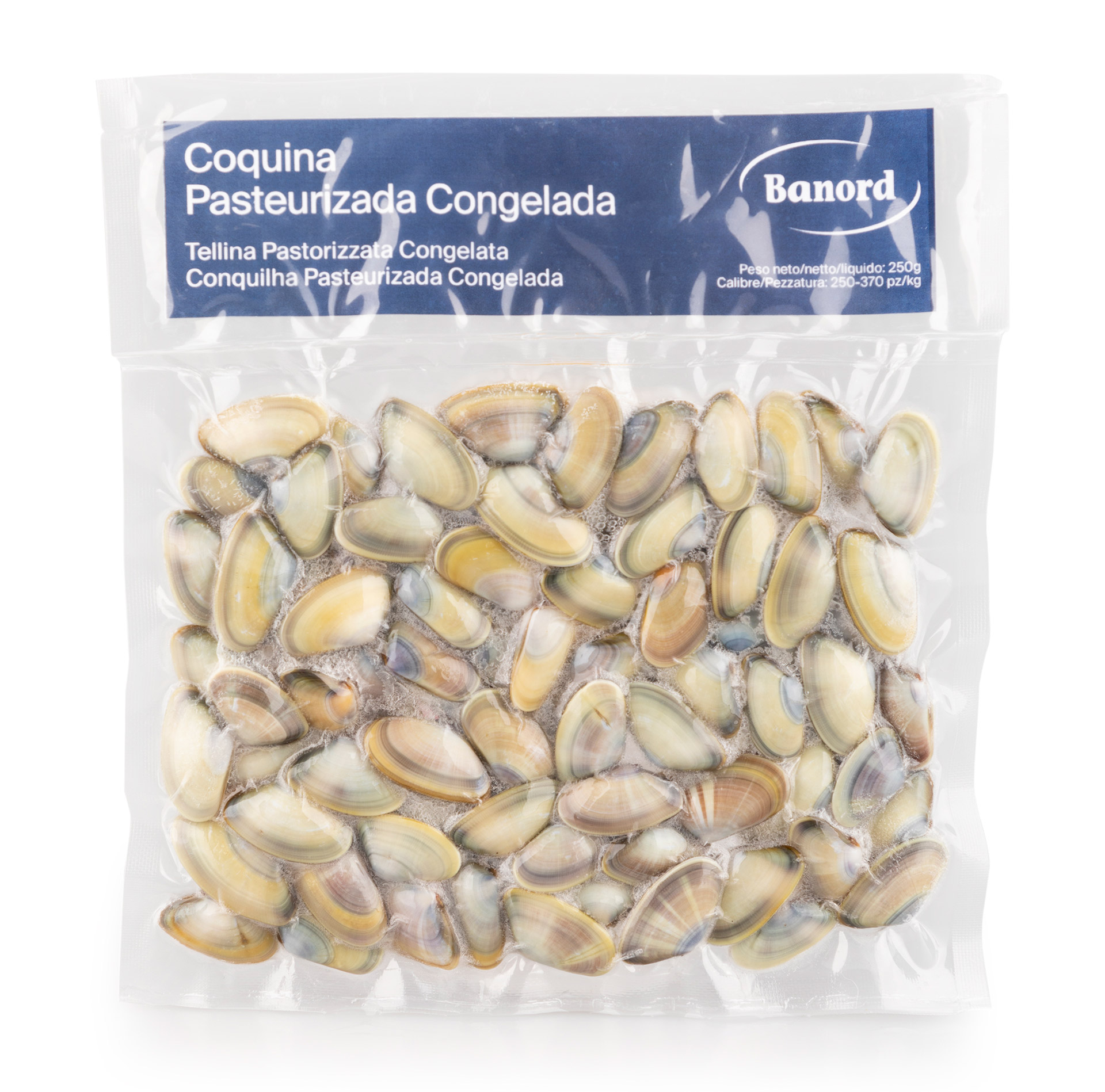 Conquilha Pasteurizada Congelada 12x250 g Conquilha Pasteurizada Congelada 12x250 g