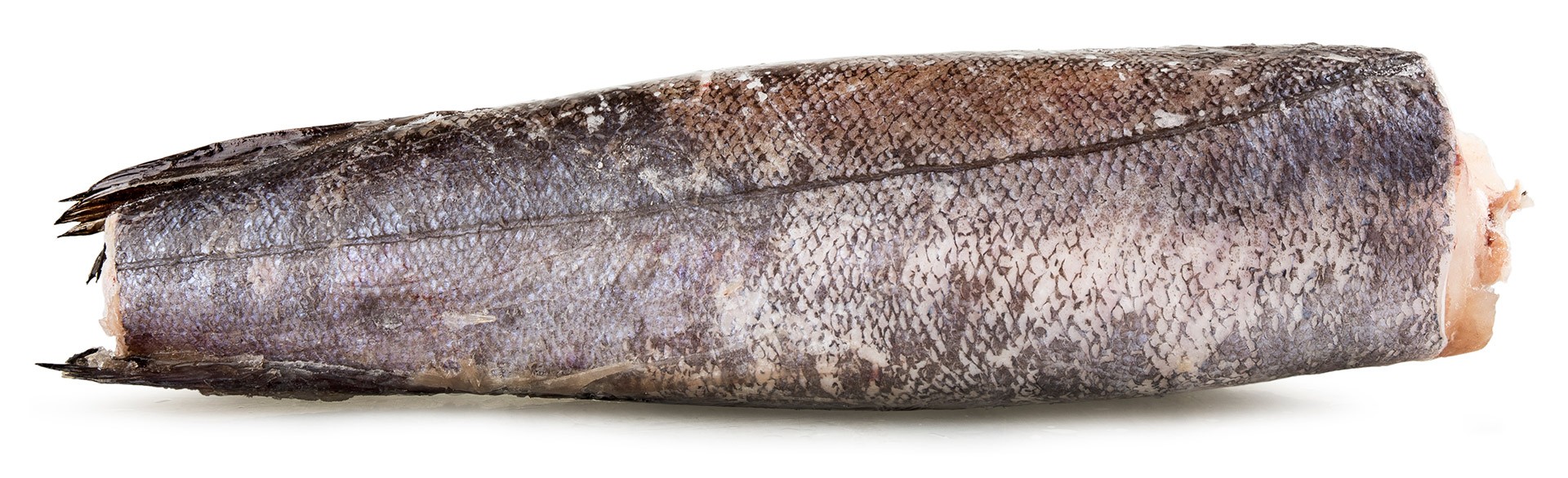 Pescada Inteira N�3 Congelada Argentina IQF