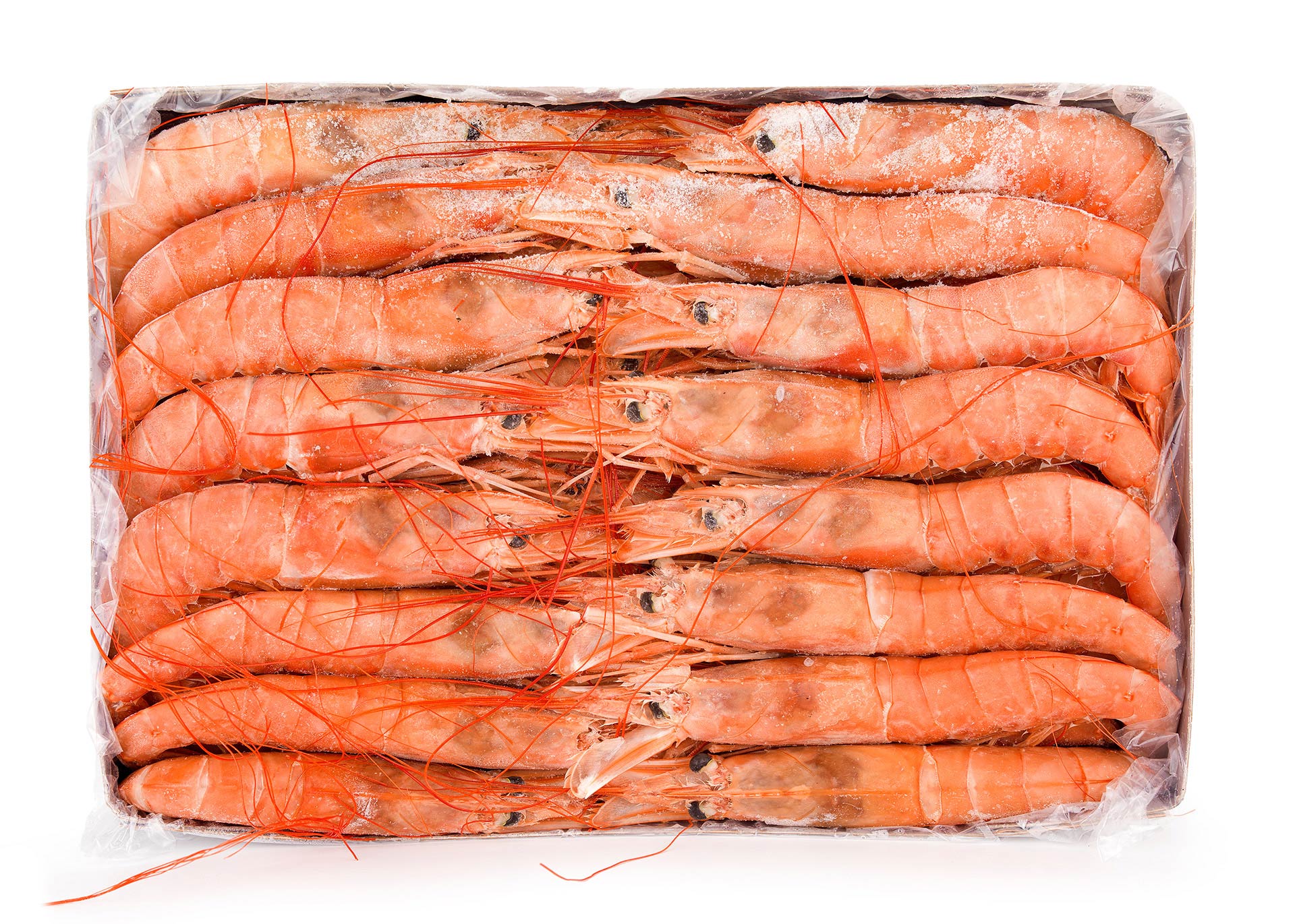 Camarão Bordo 10/20 Congelado Argentina Cx 2 kg Camarão Bordo 10/20 Congelado Argentina Cx 2 kg