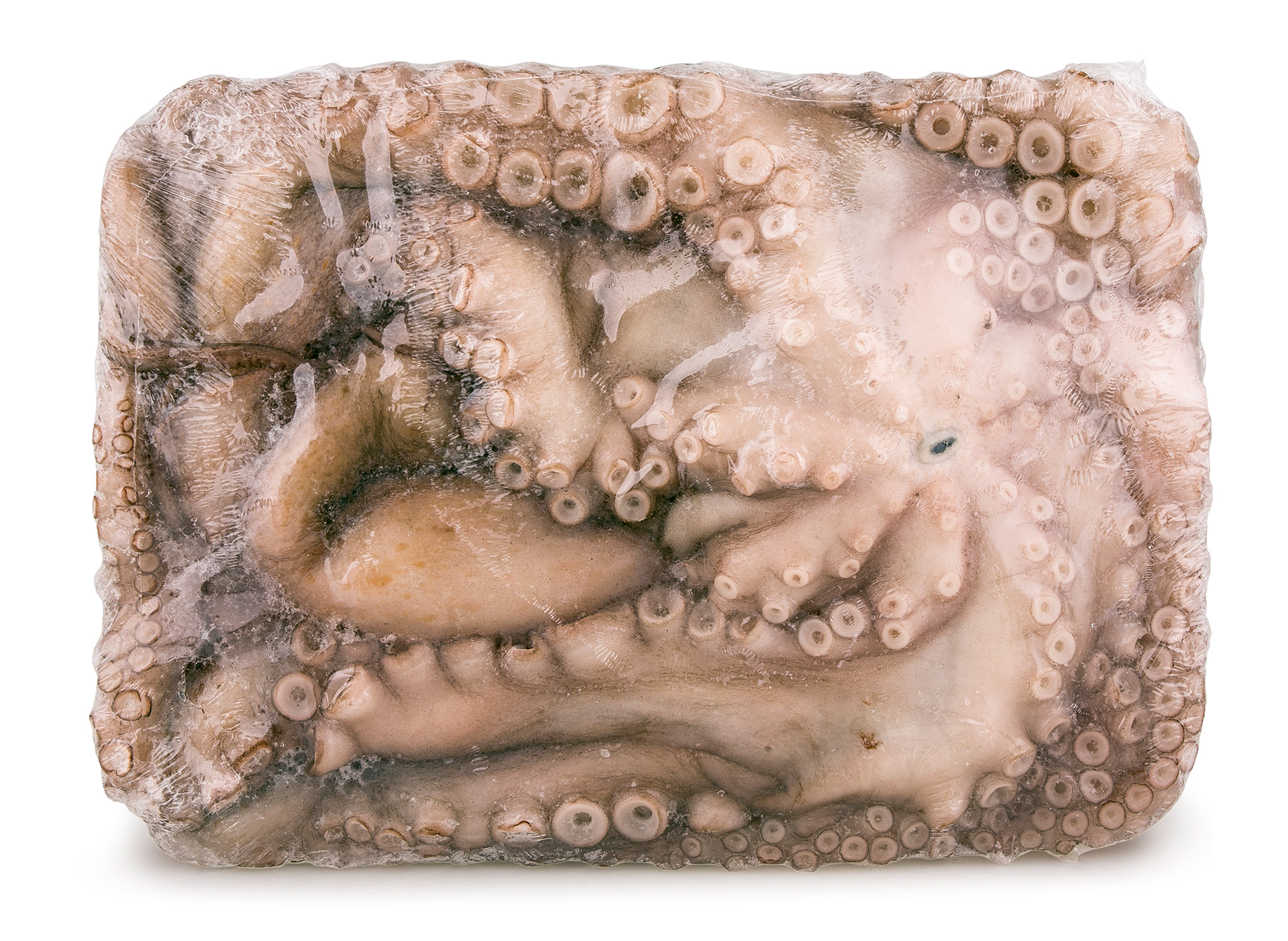 Polvo Atlântico Misto Congelado Polvo Atlântico Misto Congelado