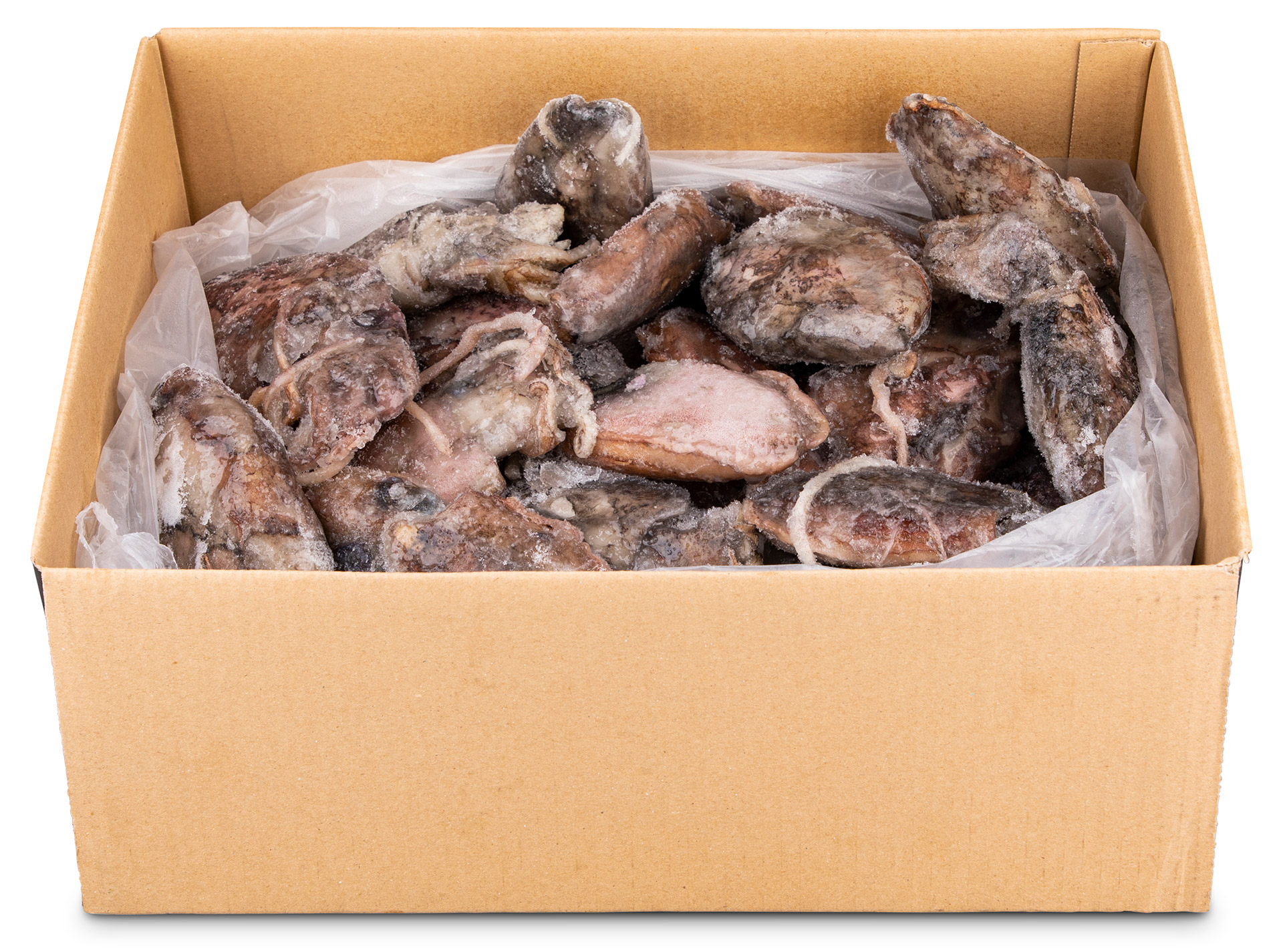 Choco Inteiro 100/200 g Congelado Cx 6 kg