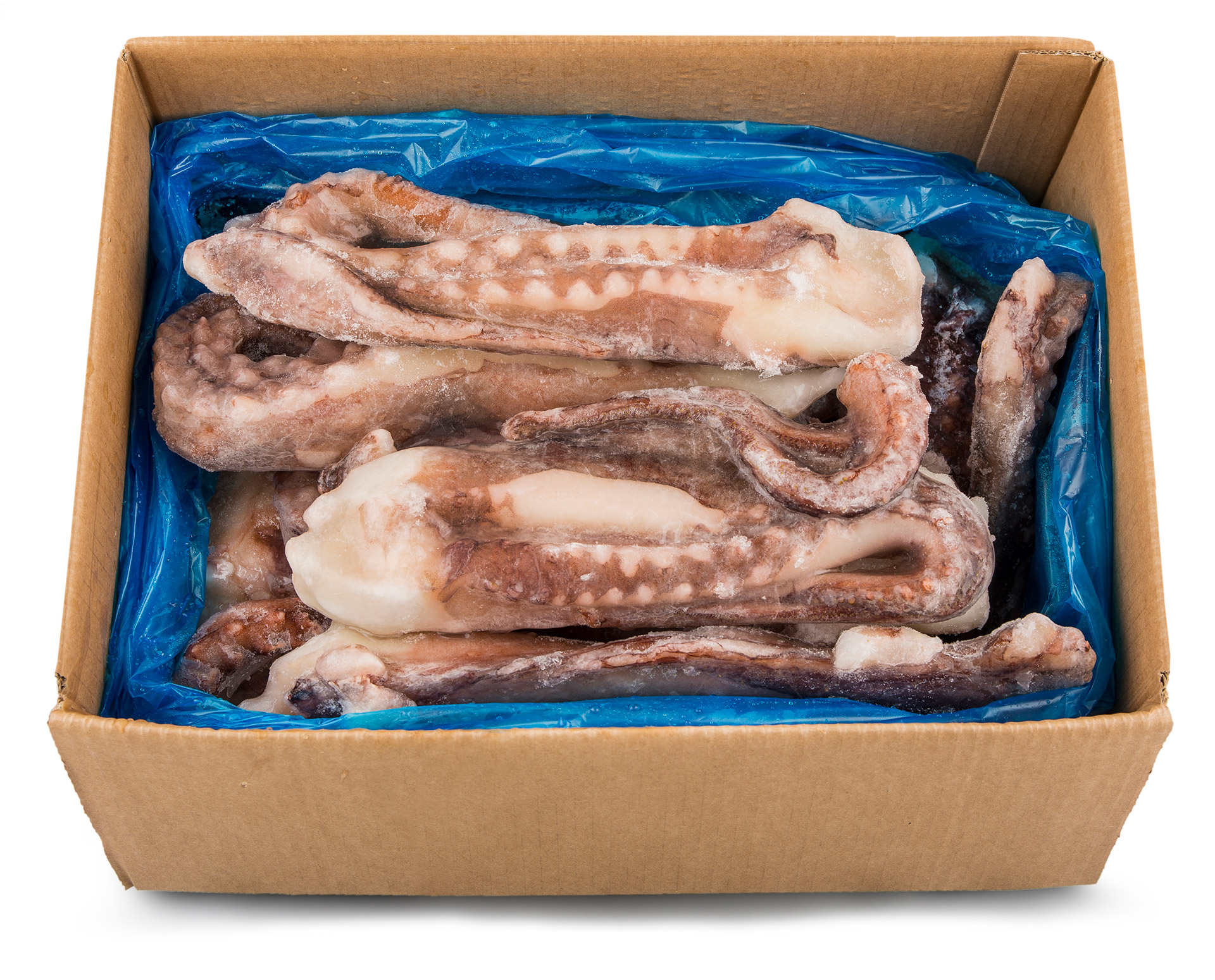 Tent�culos Pota 1/2 kg Congelados Cx 8 kg