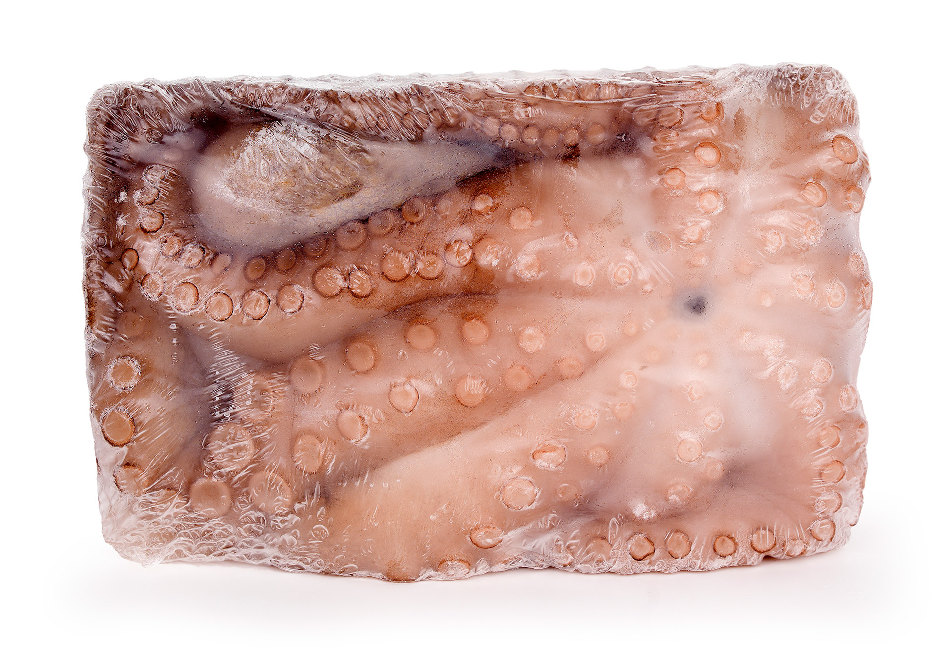 Polvo Atlântico Misto Congelado Polvo Atlântico Misto Congelado