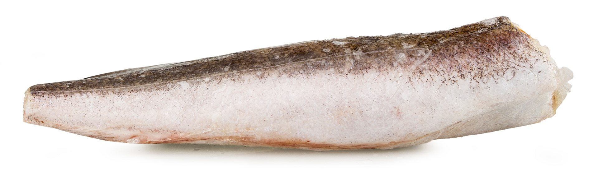 Pescada Inteira Nº2 Congelada Argentina IQF Pescada Inteira Nº2 Congelada Argentina IQF