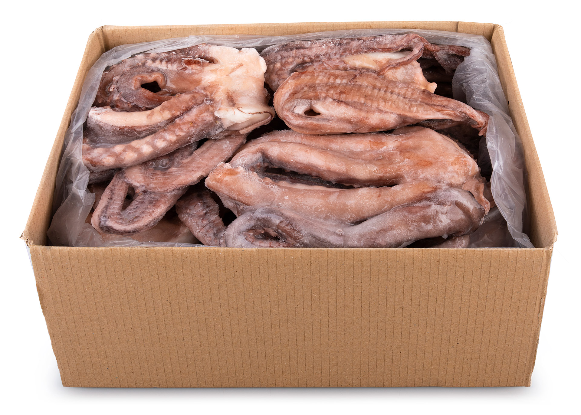 Tent�culos Pota 1/2 kg Congelados Cx 9 kg