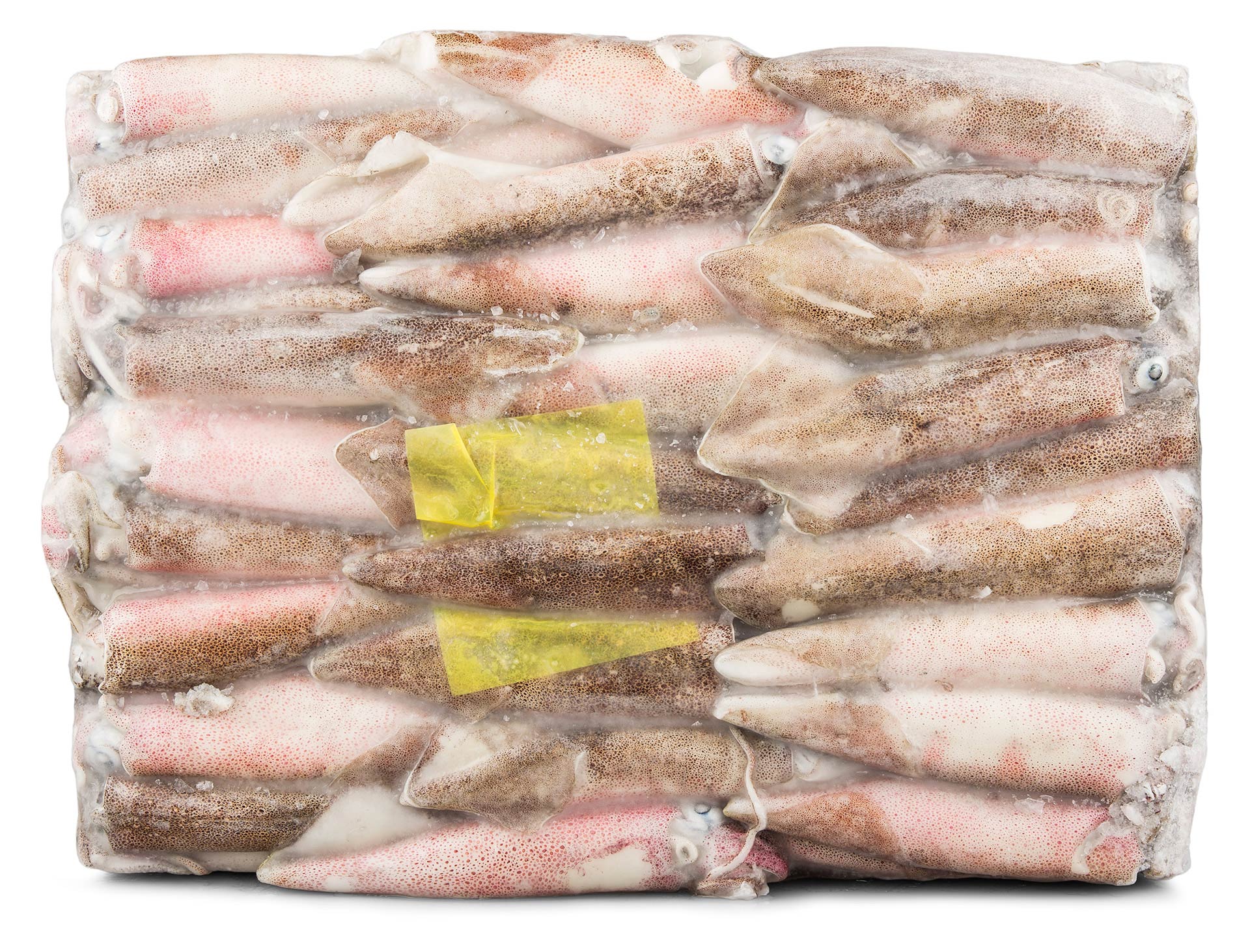 Lula Patag�nica C4 12/14 Congelada Bloco