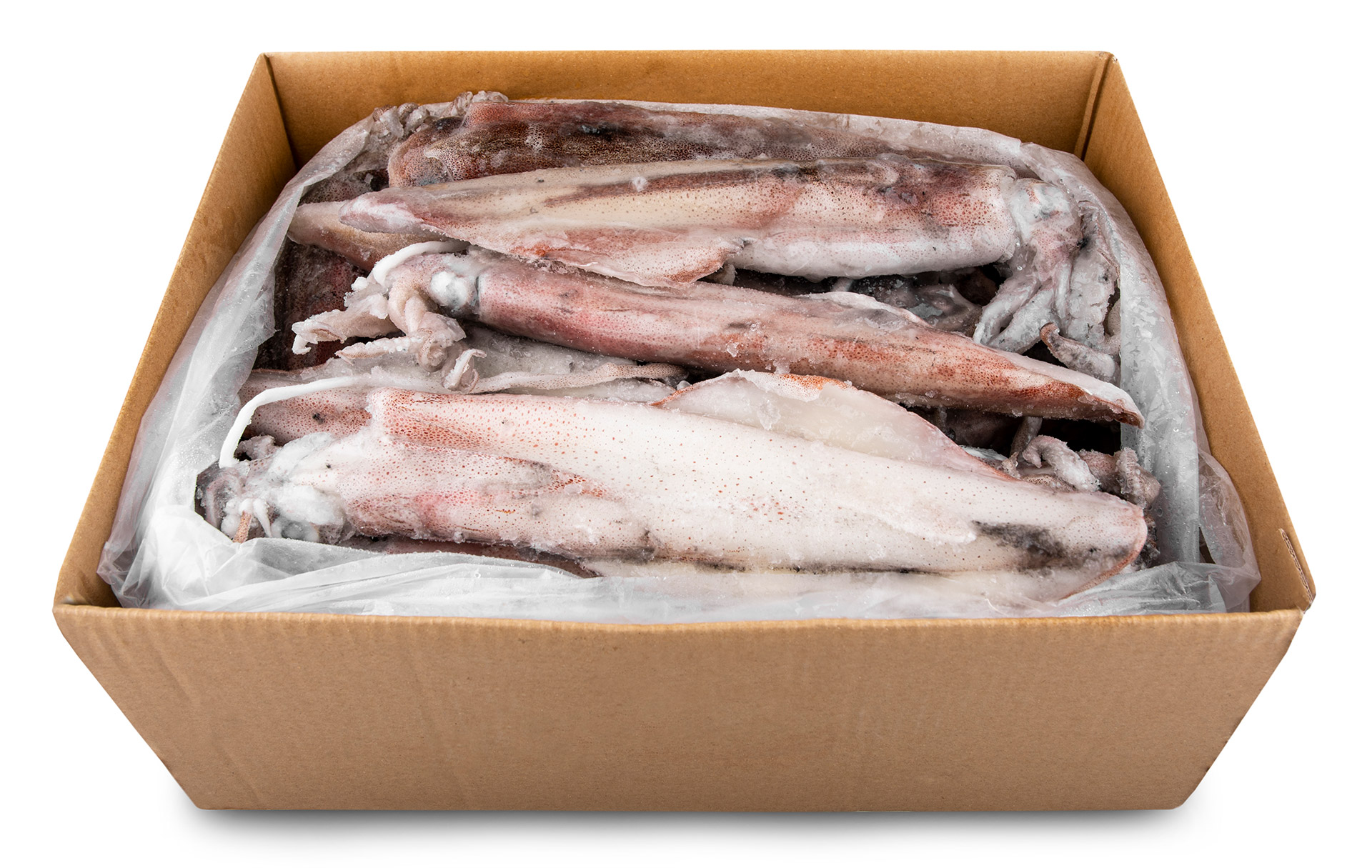 Lula Grelhar L Congelada �frica do Sul Cx 6 kg