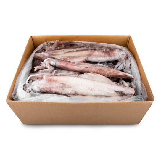 Lula Grelhar L Congelada �frica do Sul Cx 6 kg