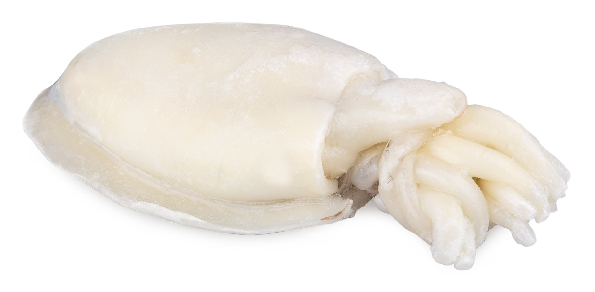 Choco Limpo 500/700 g Congelado  Avulso