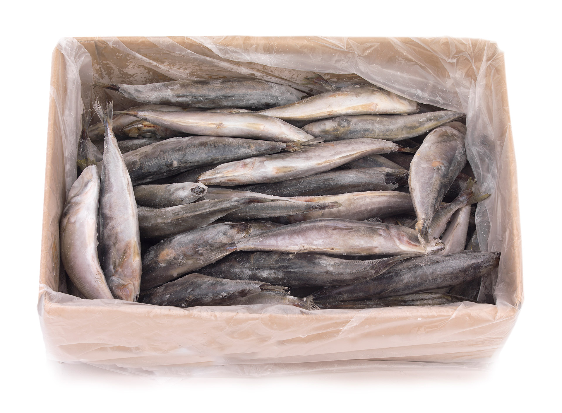 Carapau Branco 9/12 Congelado Uli Cx 6 kg