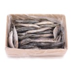 Carapau Branco 9/12 Congelado Uli Cx 6 kg