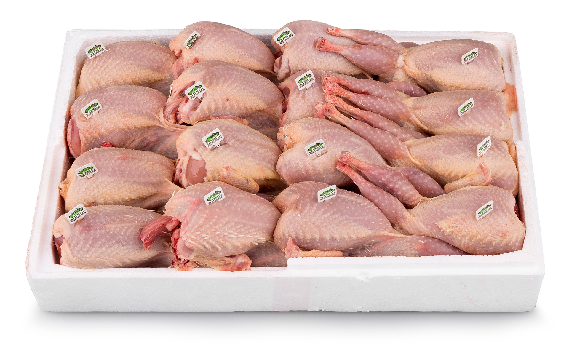 Codornizes Extra 125/140 g Frescas Cx 16 Un