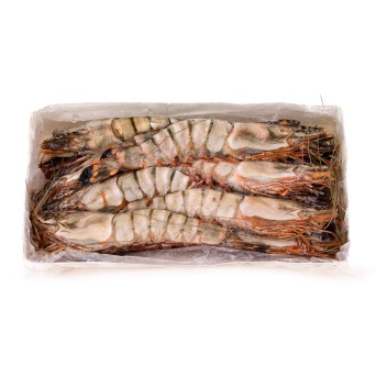 Camaro Tigre 8/10 Congelado Nigria Cx 2 kg