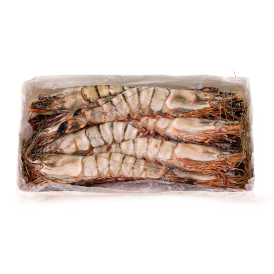 Camaro Tigre 8/10 Congelado Nigria Cx 2 kg