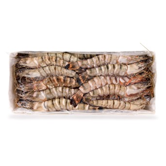 Camaro Tigre 20/30 Congelado Nigria Cx 2 kg