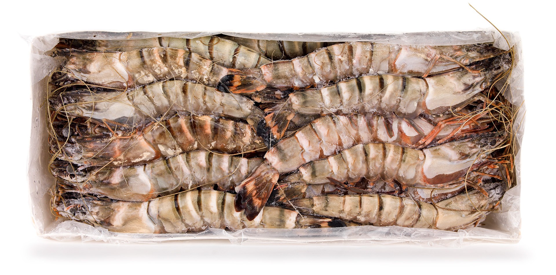 Camar�o Tigre 20/30 Congelado Nig�ria Cx 2 kg