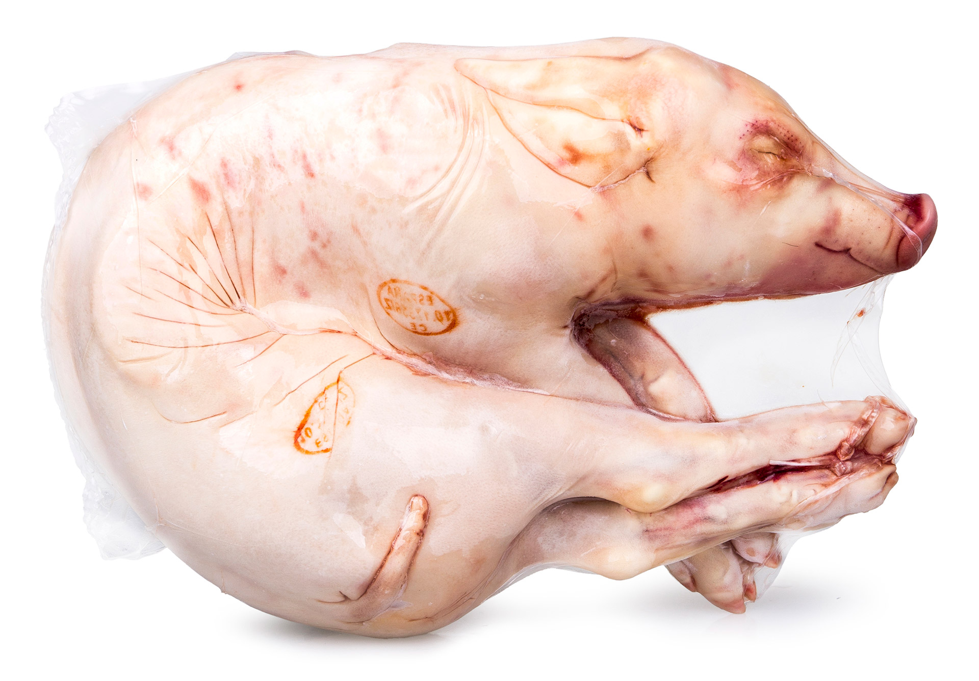 Leit�o Corte Portugu�s 6/8 kg Congelado