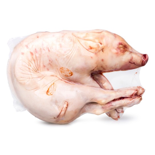 Leito Corte Portugus 6/8 kg Congelado