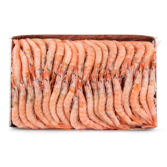 Gamba Branca 140/160 Congelada Cx IQF