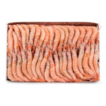 Gamba Branca 140/160 Congelada Cx IQF